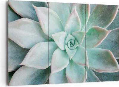Produktbild von Bild auf Leinwand - Leinwandbild - 3 Teile - Blau Blätter Agave - 165x110cm - Wand Bild - Wanddeko - Wandbilder - Leinwanddruck - Bilder - Wanddekoration - Leinwand bilder - Wandbild - CE165x110-4628