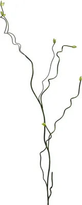 Produktbild von artplants.de Kunstzweig Korkenzieherweide PENGXI, grün, 115 cm - Korkenzieher Deko AST