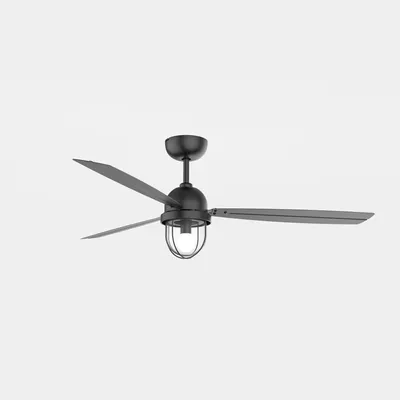 Produktbild von Energiespar Deckenventilator mit Beleuchtung und Fernbedienung Mariner Schwarz 135 cm