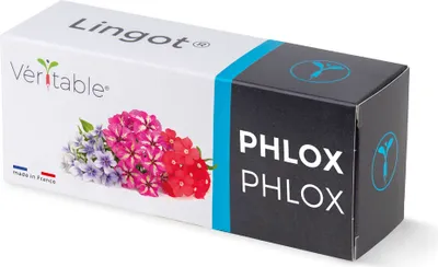 Immagine prodotto di Véritable Lingot Phlox - Terriccio per preimpianto