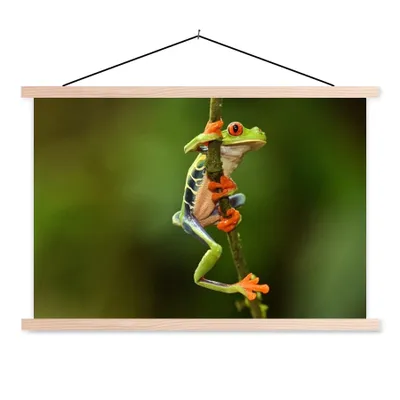 Produktbild von MuchoWow® Textilposter Rotaugenlaubfrosch im Dschungel 120x80 cm mit holzfarbenen Rahmen - Aufhängeset