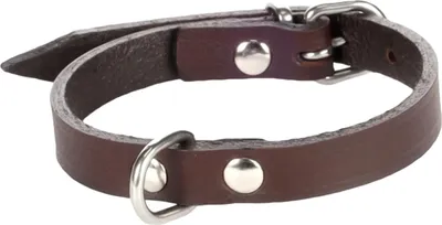 Produktbild von Flamingo Seattle Halsband dunkelbraun, Maße: 33-40 cm / 18 mm