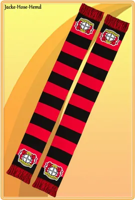 Produktbild von Schal Bayer 04 Leverkusen Blockstreifen rot/schwarz Wendeschal Fanschal