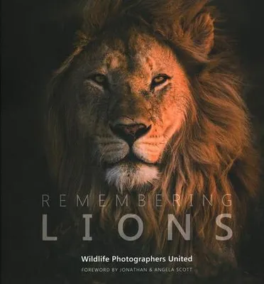 Obrázok produktu pre Remembering Lions