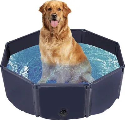 Produktbild von Famanu Hunde-Bad Faltbar - Für Hunde, Katzen und Kinder