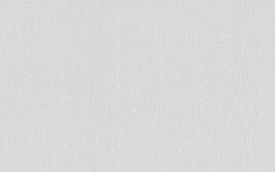 Produktbild von ERFURT VLIESFASER PROTECT 206 weiß 10,05 x 53 cm überstrichbar