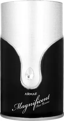 Obrázek produktu pro Armaf Magnificent Pour Homme EDP 100 ml M