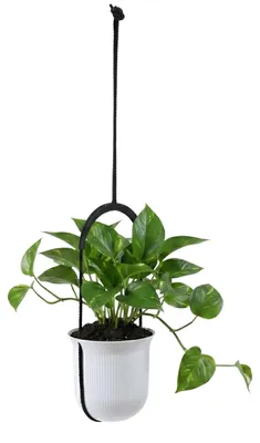 Produktbild von Blumenampel Kunststoff höhenverstellbar Ø 18 cm 2,3 L Weiß LAMELA