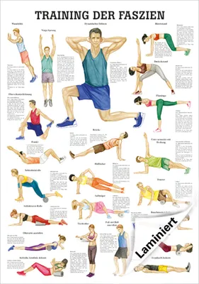Produktbild von Mini-Poster "Training der Faszien", LxB 34x24 cm