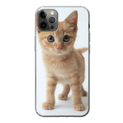 Produktbild von MuchoWow® Handyhülle Schutzhülle Hülle für iPhone 12 Pro Max Katze - Rot - Kätzchen - Mädchen - Kinder - Jungen - Kind Silikon Softcase Handy Hülle - Hartschale