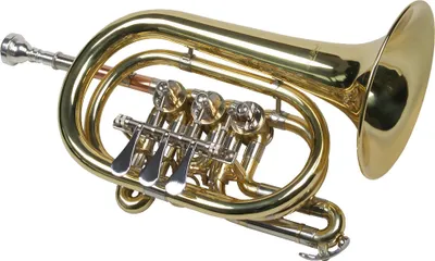 Produktbild von Glaser Drehventil Taschentrompete, Goldmessing Mundrohr, Kugelgelenke, Koffer