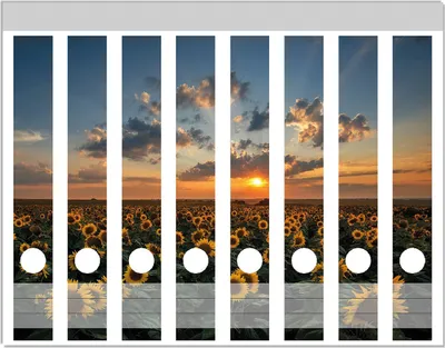 Produktbild von Wallario Ordnerrücken Sticker, selbstklebend für schmale Ordner, 8 Stück, Motiv Sonnenblumenwiese vor Wolken mit Sonnenuntergang