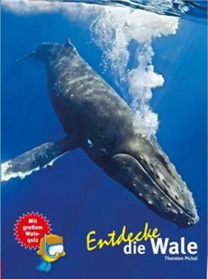 Produktbild von Entdecke die Wale
