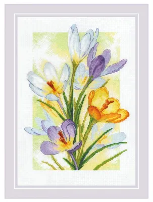 Kreuzstich-Set Lentegloed. Krokussen 21 x 29,8 cm