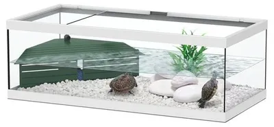 Productafbeelding van TerrAtlantis Schildpadbak Tortum 75 | 75x36x25CM | Wit-025