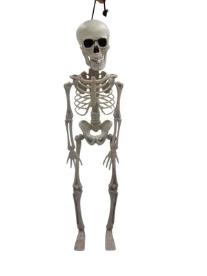 Immagine prodotto di Figura scheletro halloween 42cm