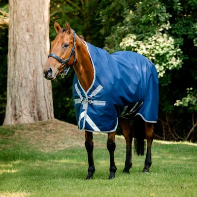 Produktbild von Horseware Weidedecke in Größe 160 - Amigo 1200D Turnout Wug 400g - Navy/Titanium Grey/Silver
