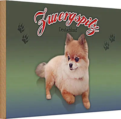 Produktbild von Holzschild Hund 30x20cm Zwergspitz Deutschland