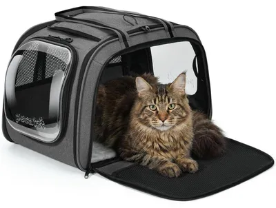 Produktbild von Transportbox Hund XL mit Sichtfenster 55x38x35 cm Grau