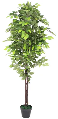 Image de Ficus Plante Artificielle 180cm avec Bois Véritable Decovego