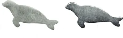 Produktbild von Robbe 925 Echtsilber Ohrstecker Stecker Miniblings Seehund Hundsrobbe Silber