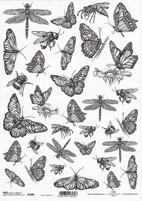 Obrázok produktu pre ITD ryžový papier decoupage remeselný papier mäkký papier obrúsková technika, R1886 motýle, vážky, hmyz
