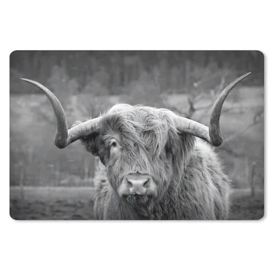 Produktbild von MuchoWow® Mauspad Mousepad Schottischer Highlander - Kuhkopf - Landschaft - Natur - Kuh 27x18 cm - Mousepads - Maus Mat - Pad - Mausunterlage - Büroartikel - Desk Matten