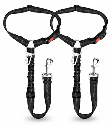 Imagen del producto de InAndOutdoorMatch - Correa para perros - Ajustable - Resistente a impactos