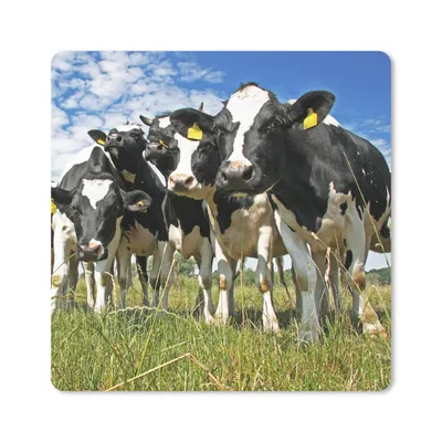 Produktbild von MuchoWow® Mauspad Mousepad Kühe - Gras - Wiese - Tiere 30x30 cm - Mousepads - Maus Mat - Pad - Mausunterlage - Gaming
