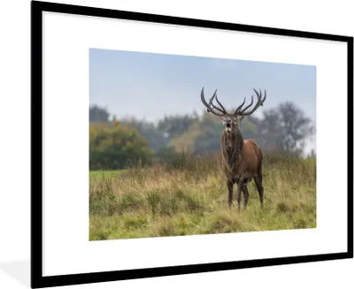 Produktbild von MuchoWow® MuchoWow® Gerahmtes Poster Hirsche - Geweihe - Gras 90x60 cm - Poster mit zchwarzem Bilderrahmen - Wanddekoration - Fotos