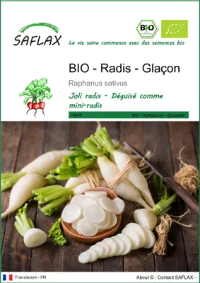 Image de SAFLAX  -- Radis - Glaçon - 100 graines - Raphanus