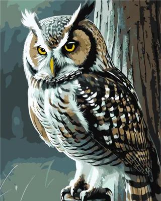 Produktbild von Malen nach Zahlen – Die weise Eule 40 x 50 cm – Qbee