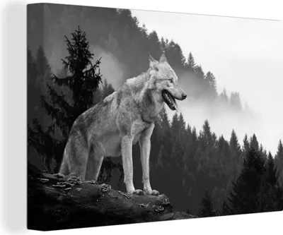 Zdjęcie produktu dla OneMillionCanvasses® - Obrazy na płótnie - 140x90 cm, Wilk - Las - Czarny - Biały, Dekoracja ścienna - Zdjęcie na płótnie - Obraz na drewnianej ramie
