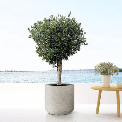 Produktbild von Jumbo Beige Waschbeutel - Klein - 60 x 62 cm