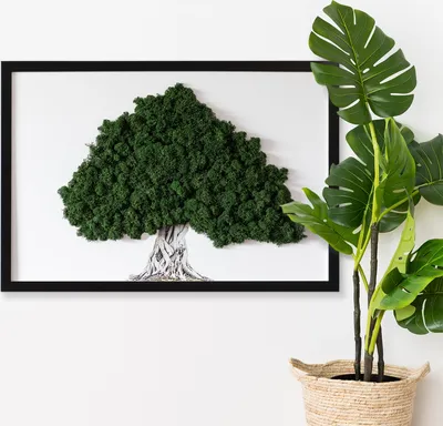 Produktbild von Moosbild mit Konserviertem Moos 3D Wandbild - 60x40 cm - Schwarzer MDF-Rahmen - Baum mit Wurzeln auf weißem Hintergrund