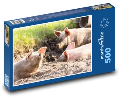 Zdjęcie produktu dla martinpuzzle - Puzzle 500 - Prasata - zwierzęta, farma