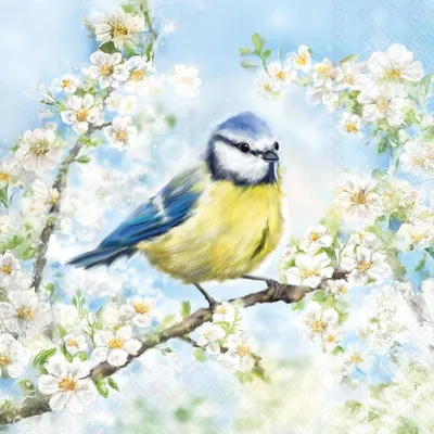 Produktbild von 20 Servietten Blossom Time - Blaumeise an Frühlingszweige 33x33cm