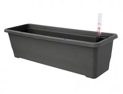 Immagine prodotto di Cassetta di plastica auto-irrigante BERGAMOT 60x20x17cm