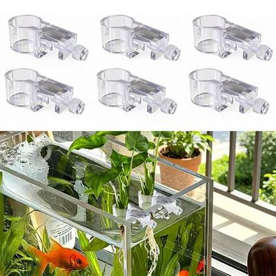 Imagen del producto de Juego de 6 soportes transparentes para plantas de acuario