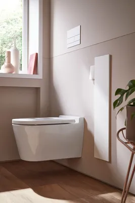 Image de emco asis module pure module WC, façade en bois d'une pièce, encastré, butée gauche, 730x170mm, avec compartiment pour rouleau de réserve, 975551310