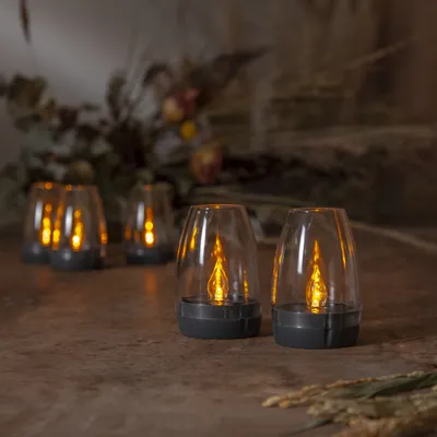 Two LED solar lanterns are in the foreground, with more in the background, set against a backdrop of dried flowers and foliage.