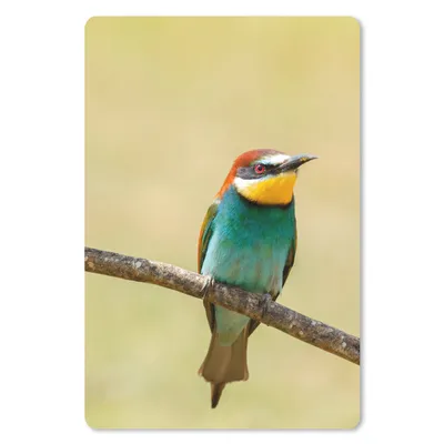 Produktbild von MuchoWow® Mauspad Mousepad Vögel - Tiere - Bienenfresser 18x27 cm - Mousepads - Maus Mat - Pad - Mausunterlage