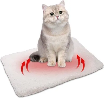 Produktbild von Famanu Tierdecke Selbstwärmend - Weiches Katzenbett 74x48cm - Abnehmbar und Waschbar