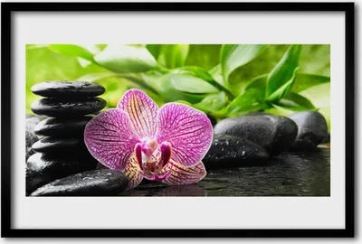 Produktbild von Bild 60x40 MDF-Rahmen Wandkunst Stein Blume Pflanze