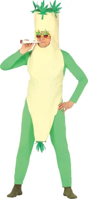 A person wearing a joint costume.