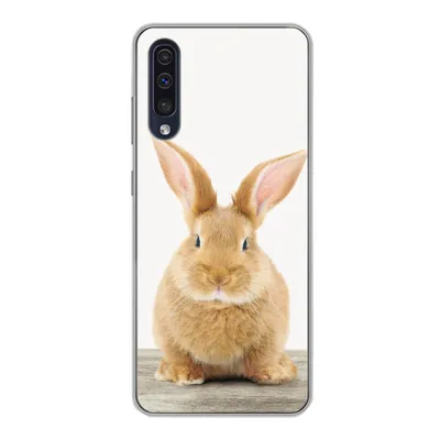 Produktbild von MuchoWow® Handyhülle Schutzhülle Hülle für Samsung Galaxy A30s Kaninchen - Babykaninchen - Tiere - Kinder - Mädchen - Jungen Silikon Softcase Handy Hülle - Karteninhaber