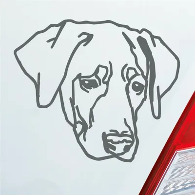 Produktbild von Auto Aufkleber Labrador Labi Labbi Hund Dog 12x10 cm Grau Sticker Heckscheibenaufkleber