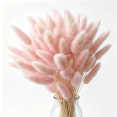 Image de 60 brins de pampa rose, fleurs séchées, décoration, 45 cm