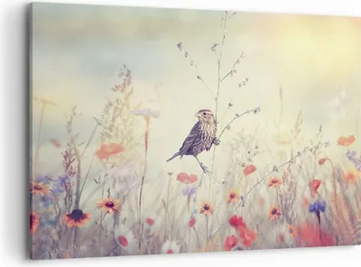 Produktbild von Bild auf Leinwand - Leinwandbild - Einteilig - Vogel Wildschwein Wiese - 100x70cm - Wand Bild - Wanddeko - Wandbilder - Leinwanddruck - Bilder - Wanddekoration - Leinwand bilder - AA100x70-4279