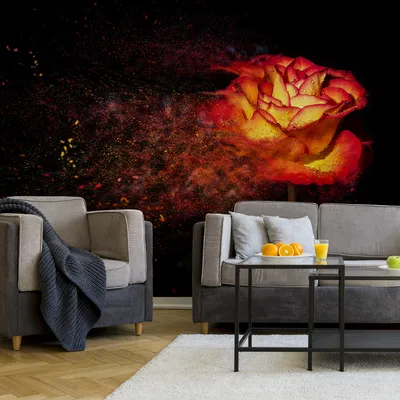 Obrázek produktu pro Muralo XXL netkaná tapeta abstraktní růže černá 3D efekt pozadí (š) 208 cm x (v) 146 cm tapeta OBÝVACÍ POKOJ LOŽNICE 5187